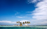 White sand beach and palm trees at Silk cayes Marine Reserve on barrier reef, Placencia, Belize