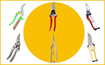 best secateurs 2024 including Okatsune, Niwaki and Felco