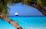 Caribbean cruises