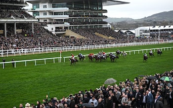 Cheltenham racecourse