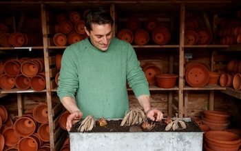 Tom Brown: 'I find that growing them in pots allows you to water and feed the plants with greater effect, which results in them performing in a much showier fashion than they would do if they were in the ground'