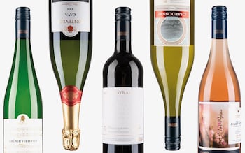 aldi wines